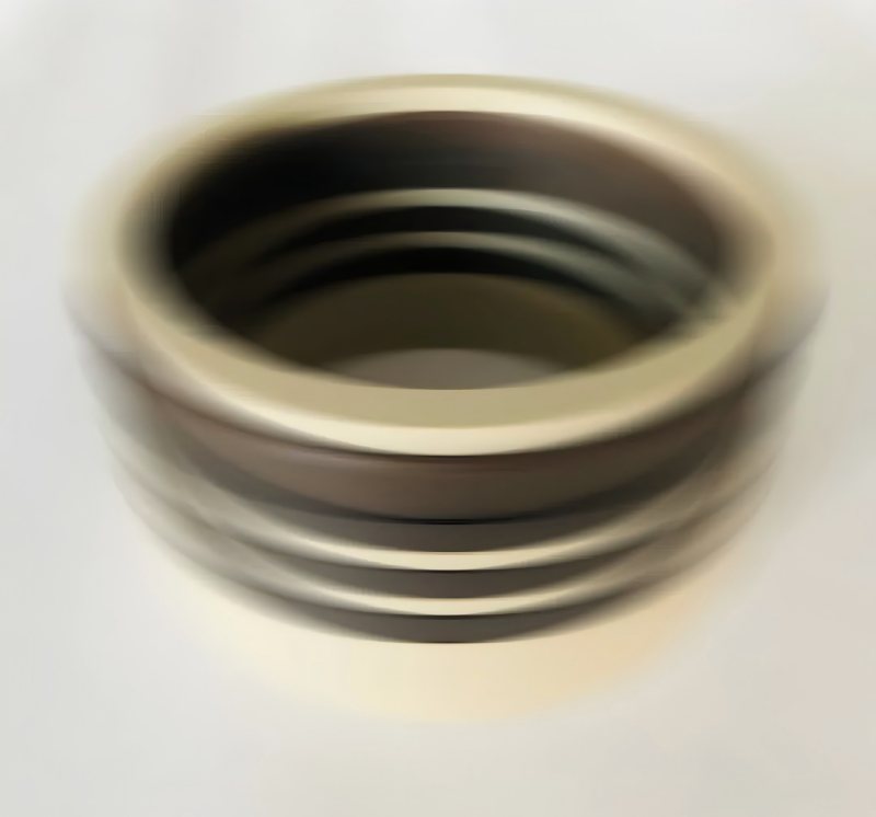 Ruichen Seal 600MPa Water Medium Retrocating Seal