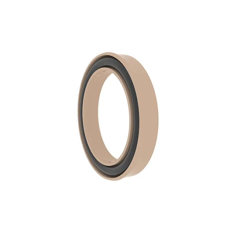 Radial Spring Energized Seals