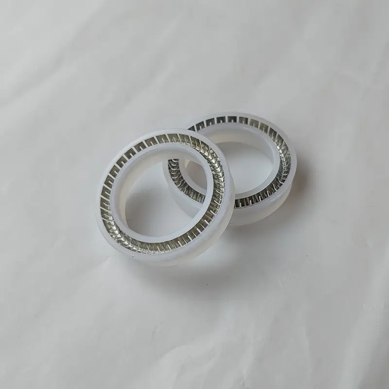 Radial Spring Energized Seals